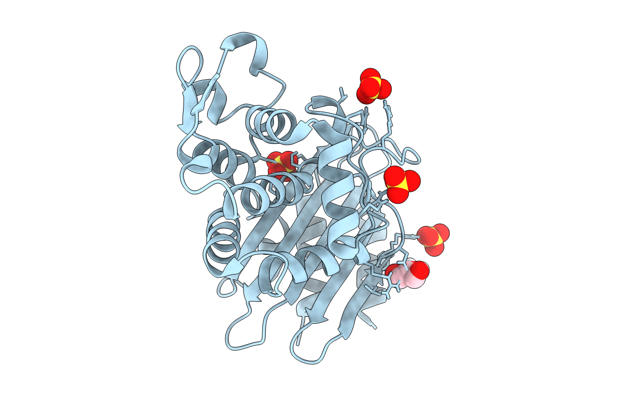 6Z7I image