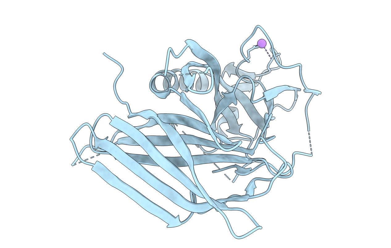 6Z9C image