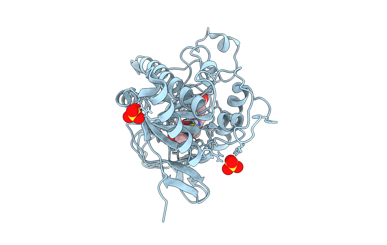 6ZAG image