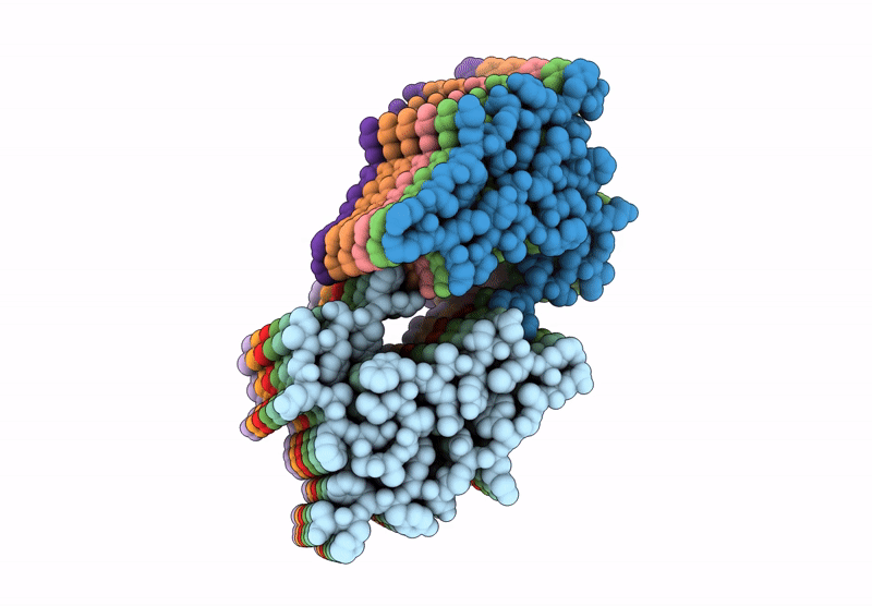 6ZCF image