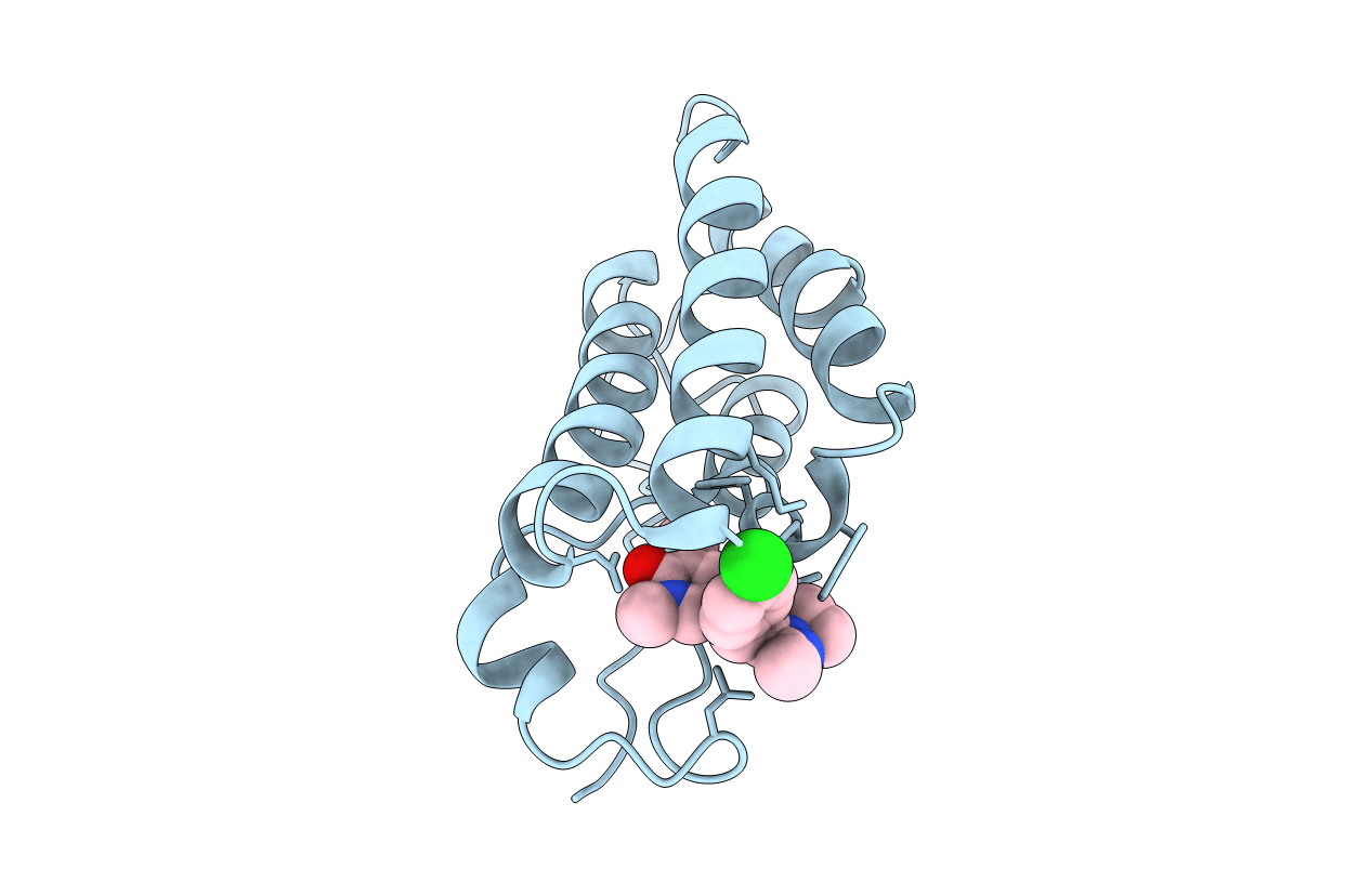 6ZCI image