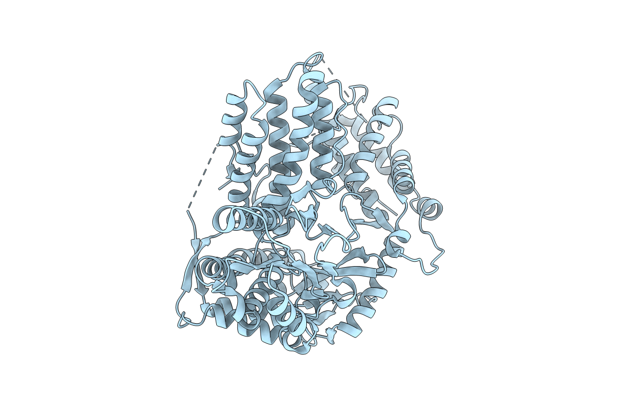 6ZD6 image