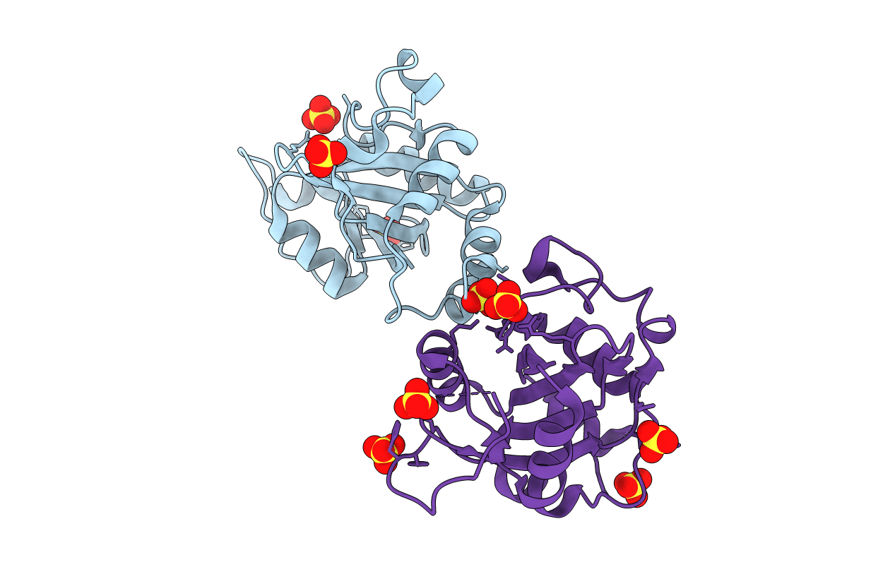 6ZD8 image
