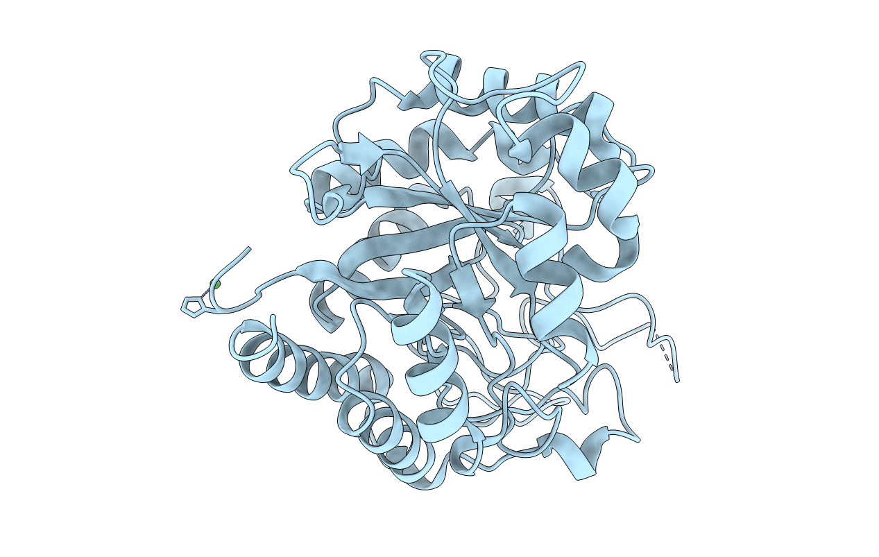 6ZDC image