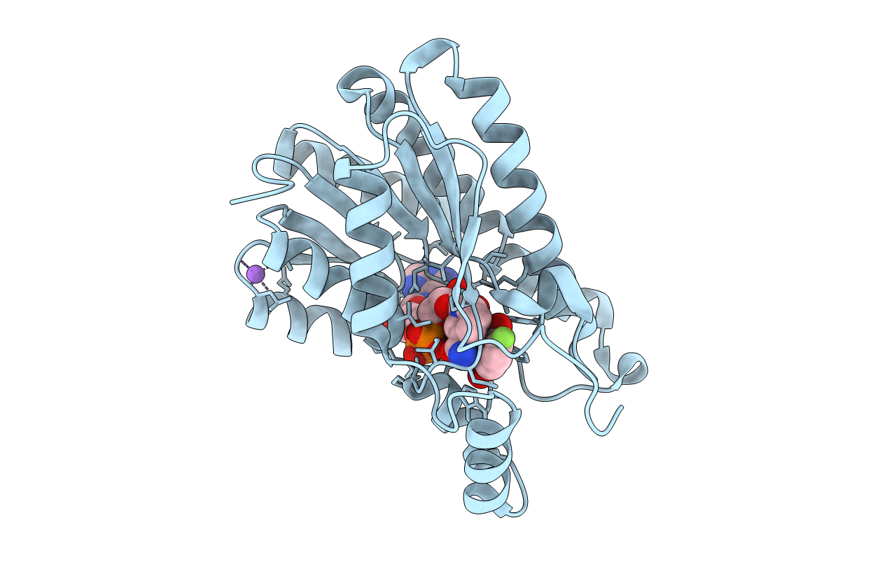 6ZDI image