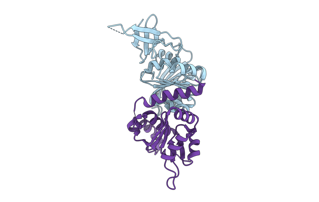 6ZDT image