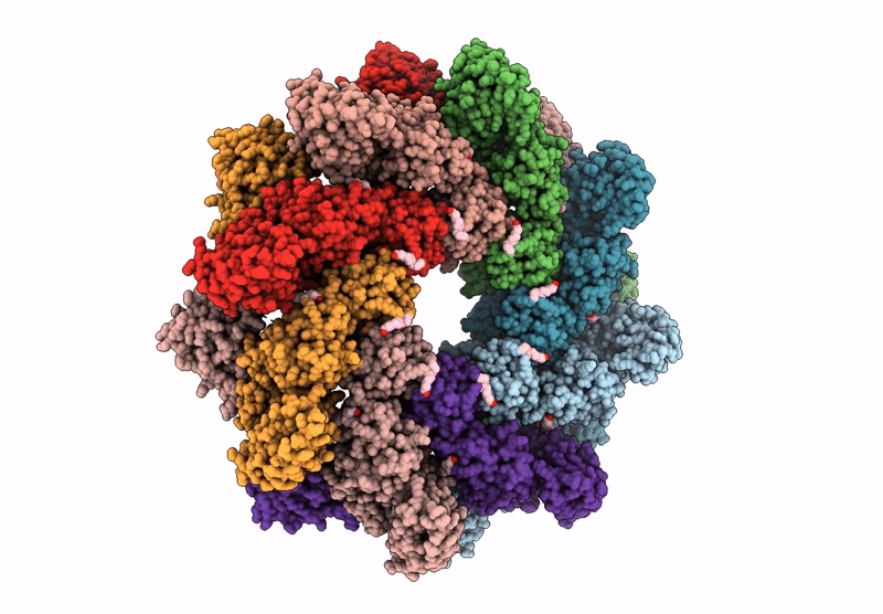 6ZFX image
