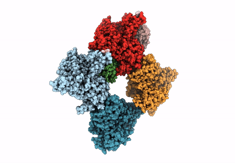 6ZGA image