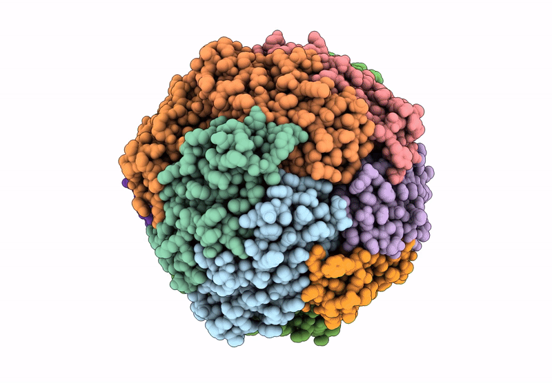 6ZGL image