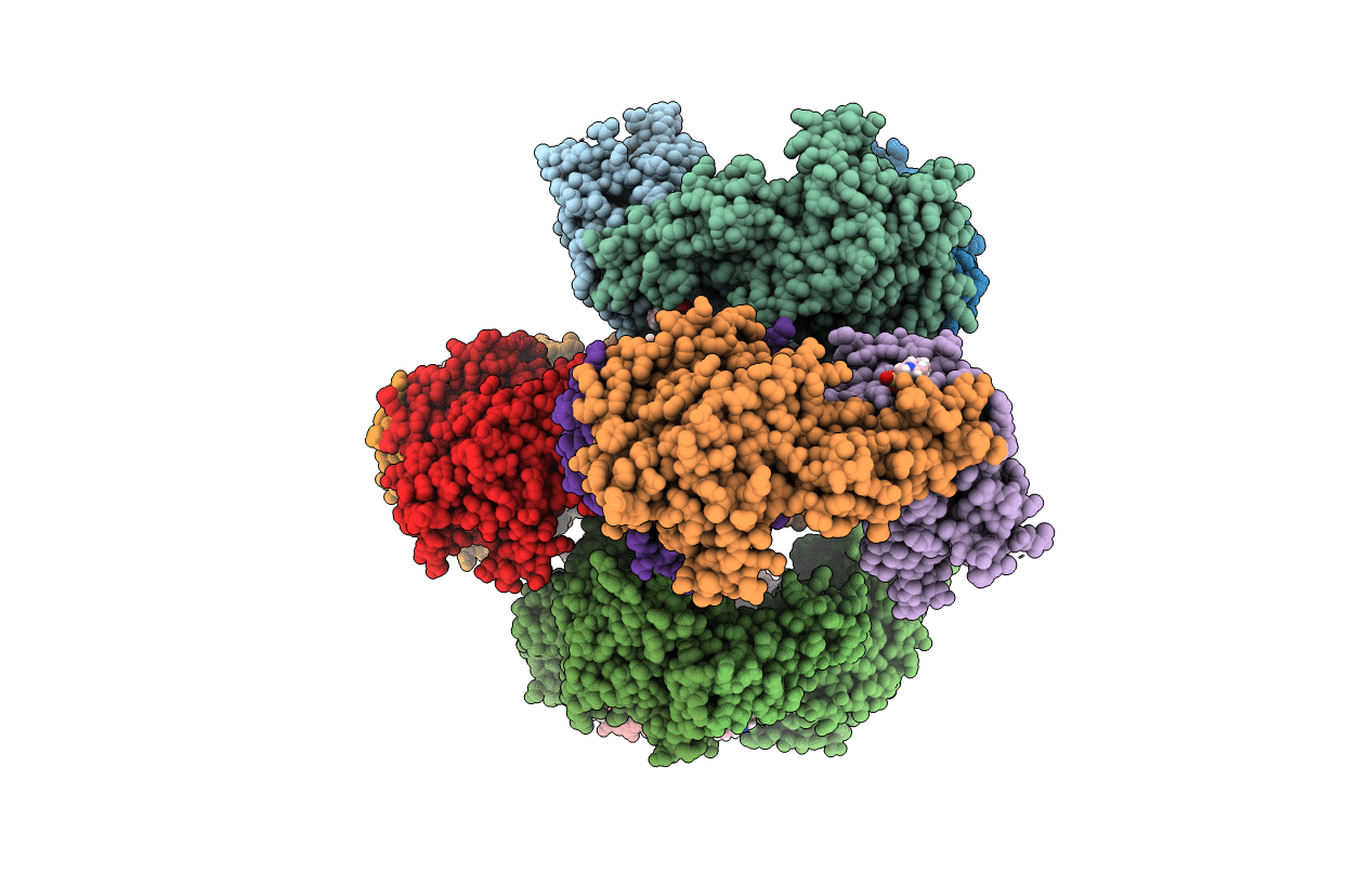 6ZGP image
