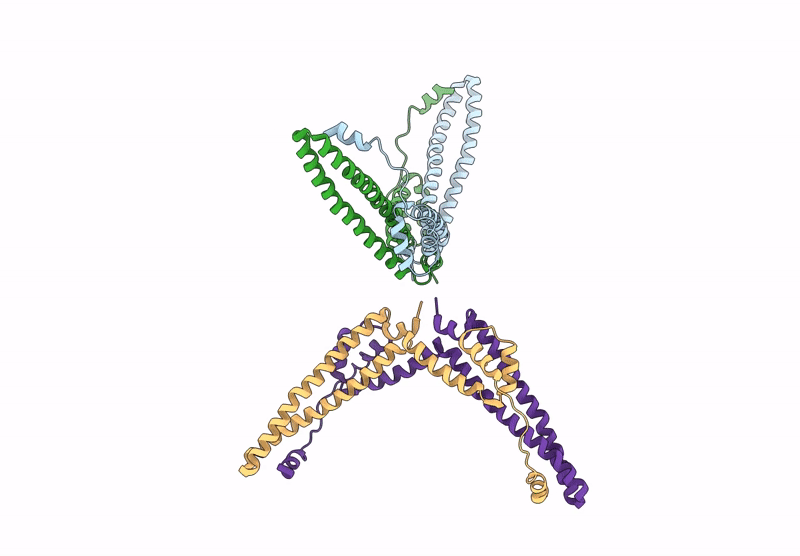 6ZH3 image