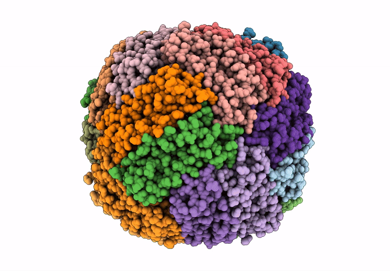 6ZH5 image