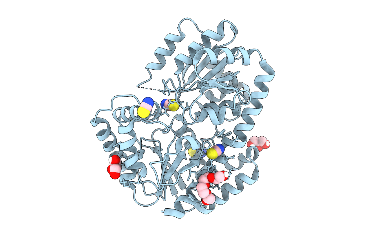 6ZJ7 image