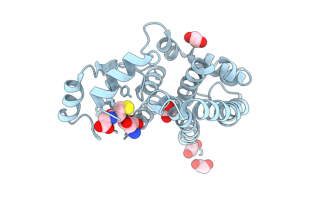 6ZJ9 image