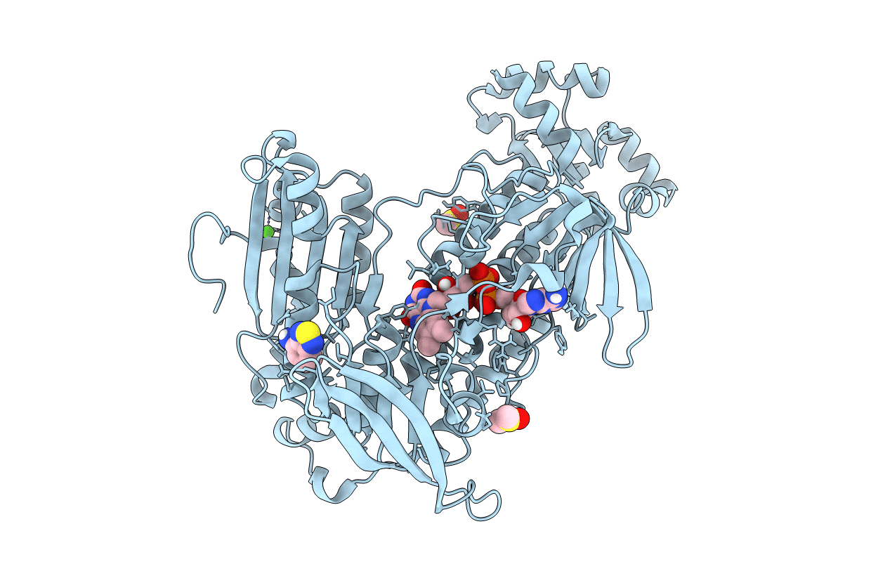 6ZLP image