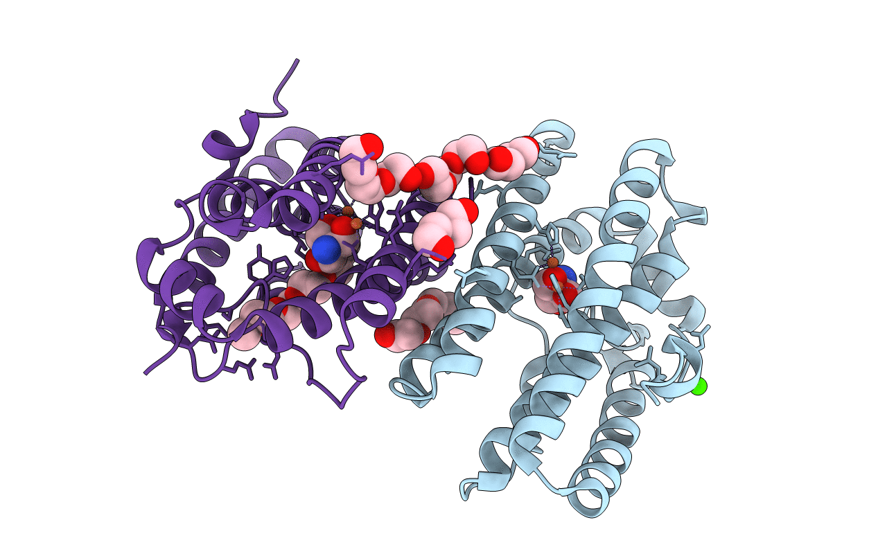6ZMB image