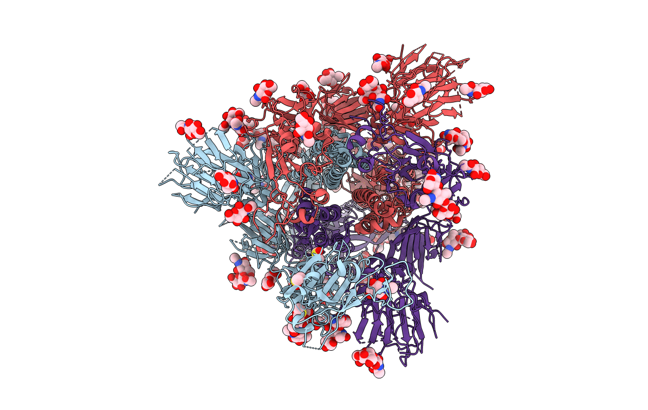 6ZP5 image