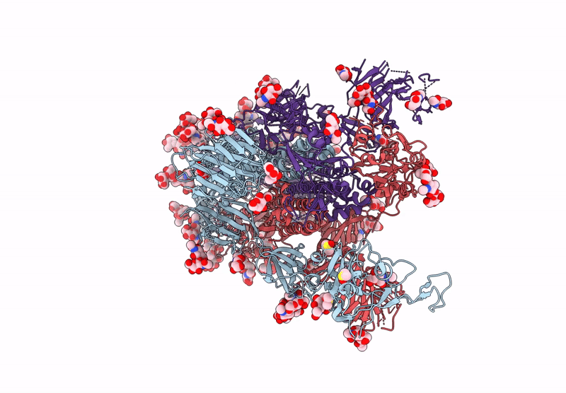 6ZP7 image