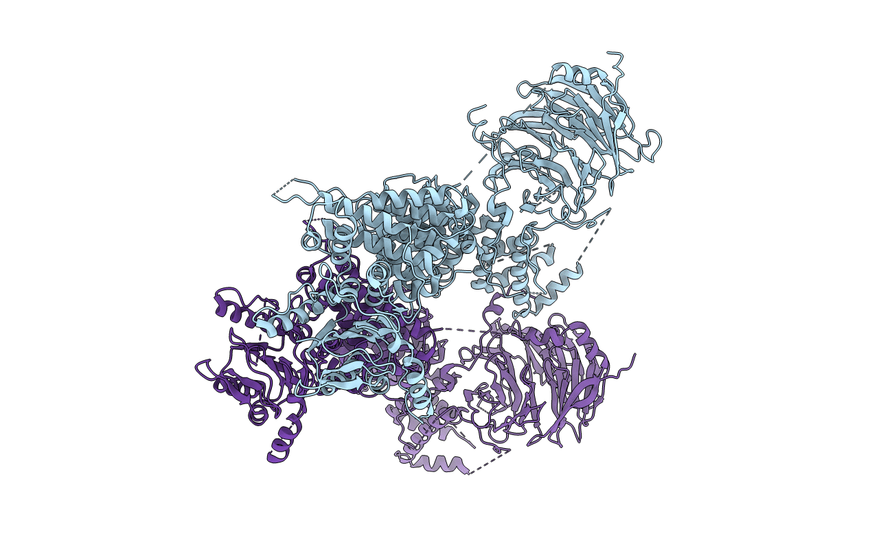 6ZPN image