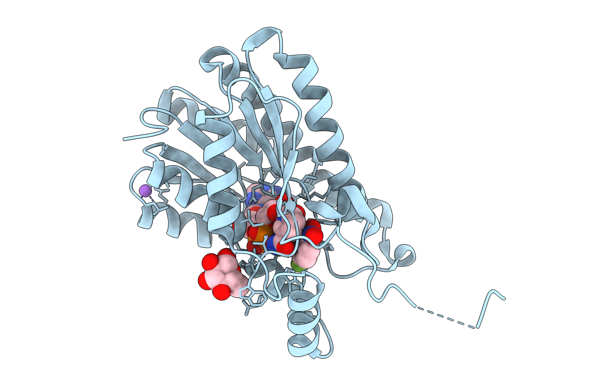 6ZRA image