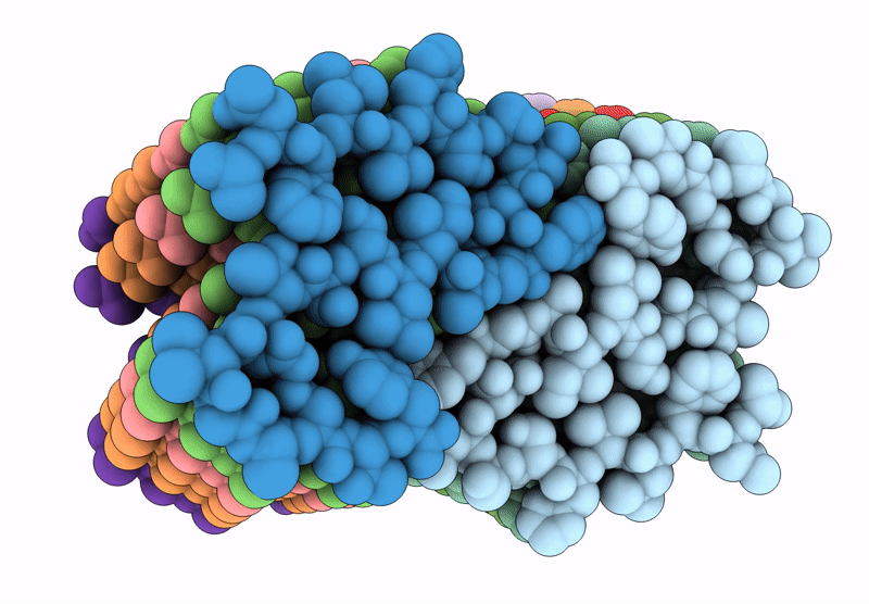 6ZRF image