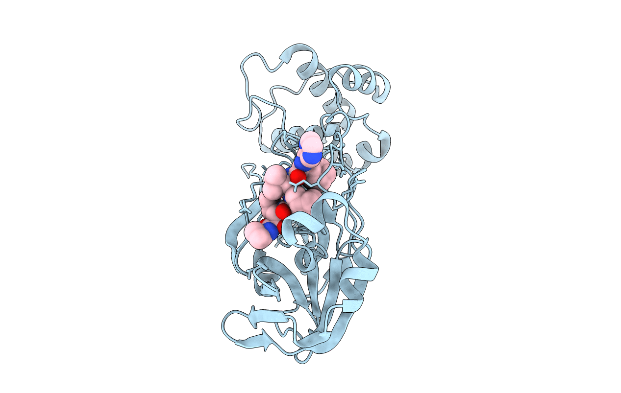 6ZRT image