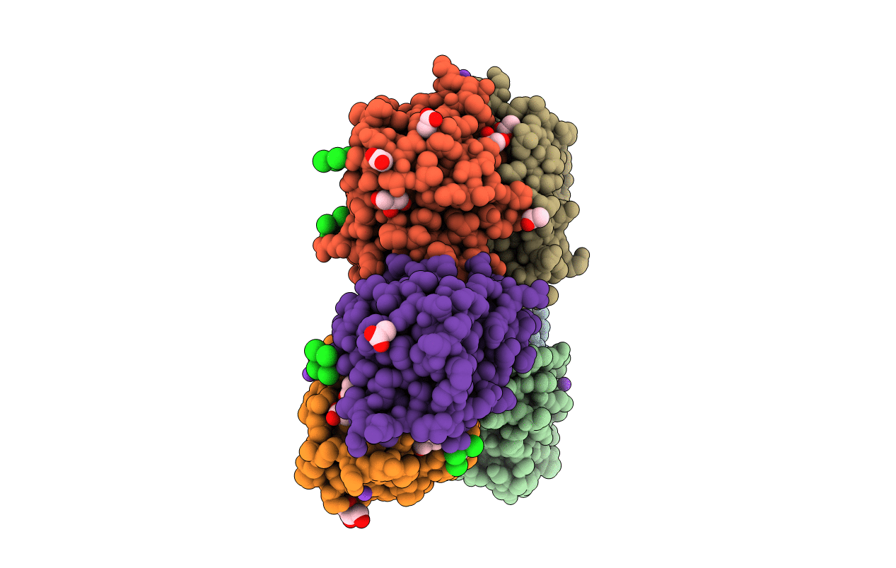 6ZRW image