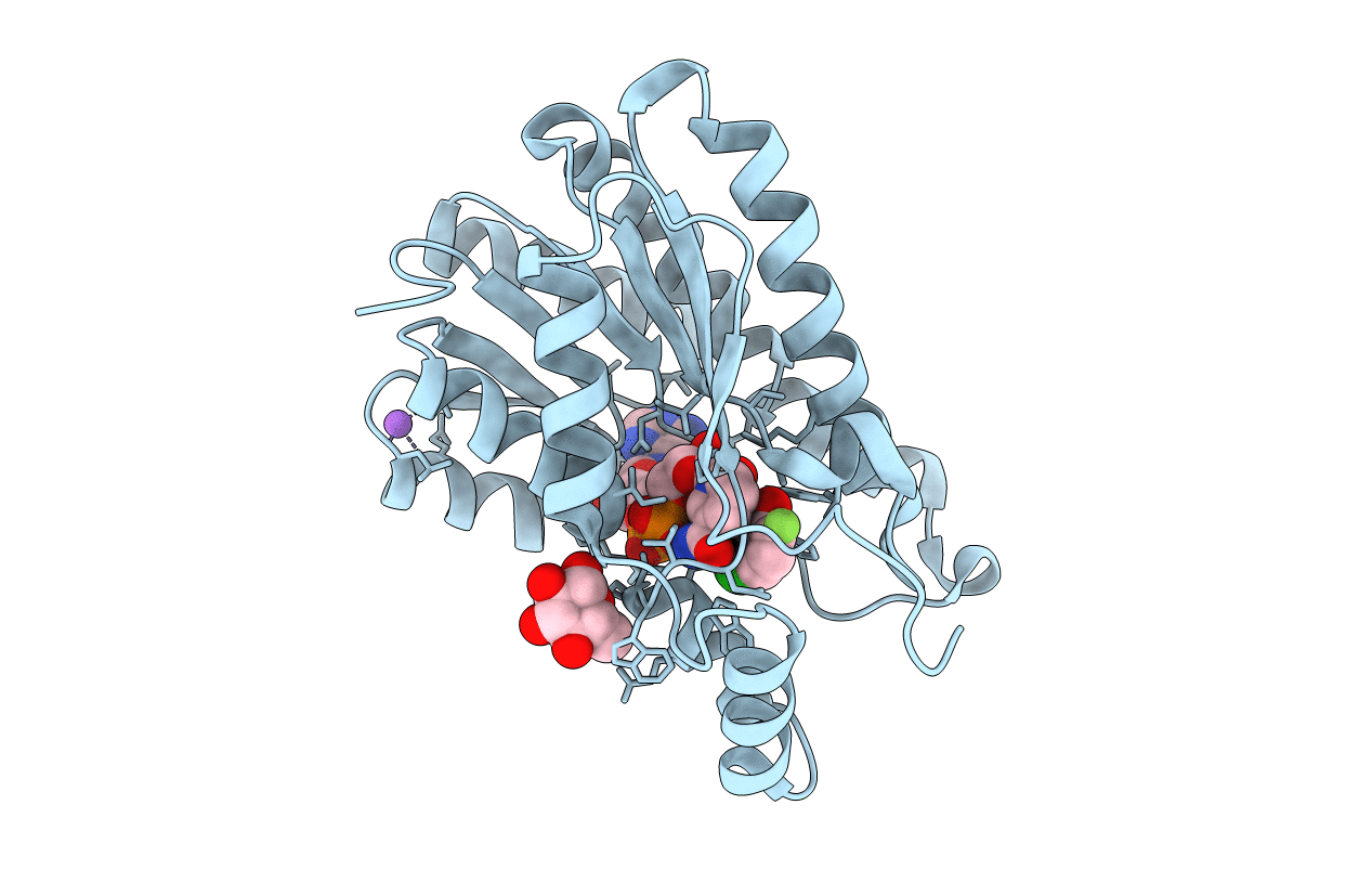 6ZT2 image