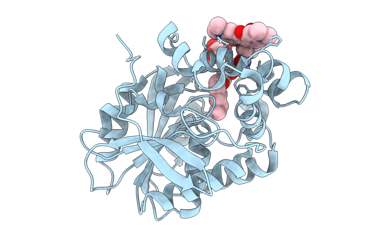6ZVX image