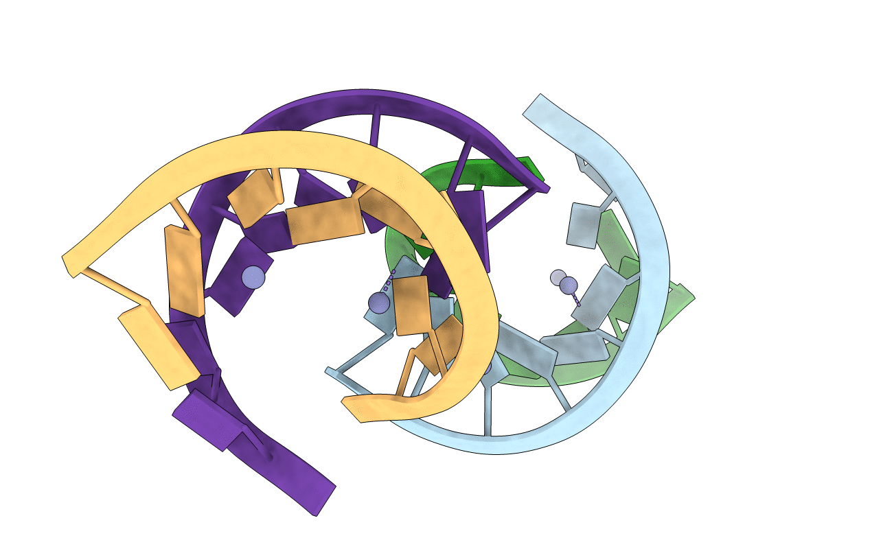 6ZWU image