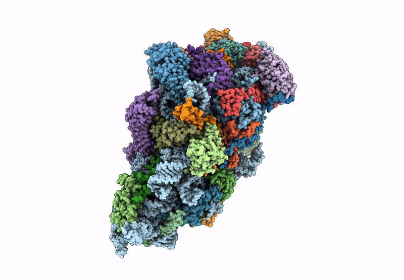 6ZXF image