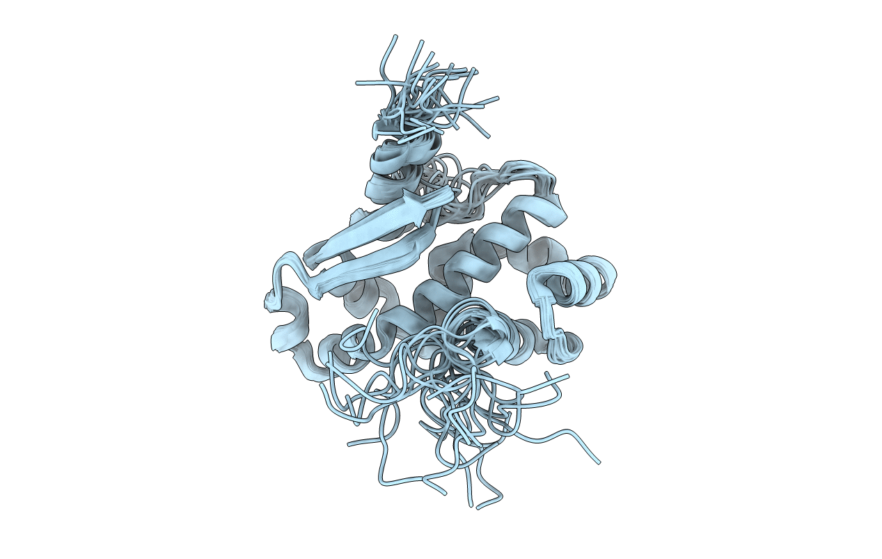 6ZXP image