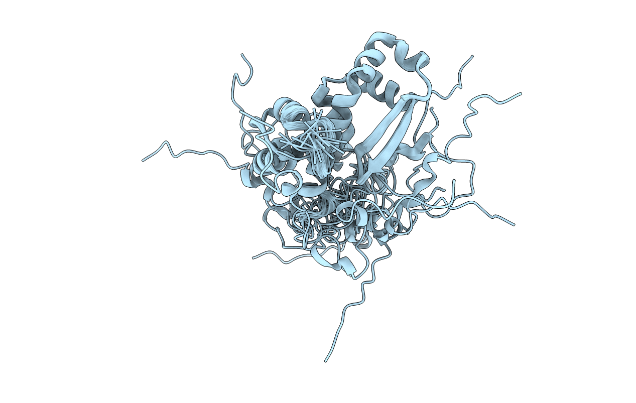 6ZYC image