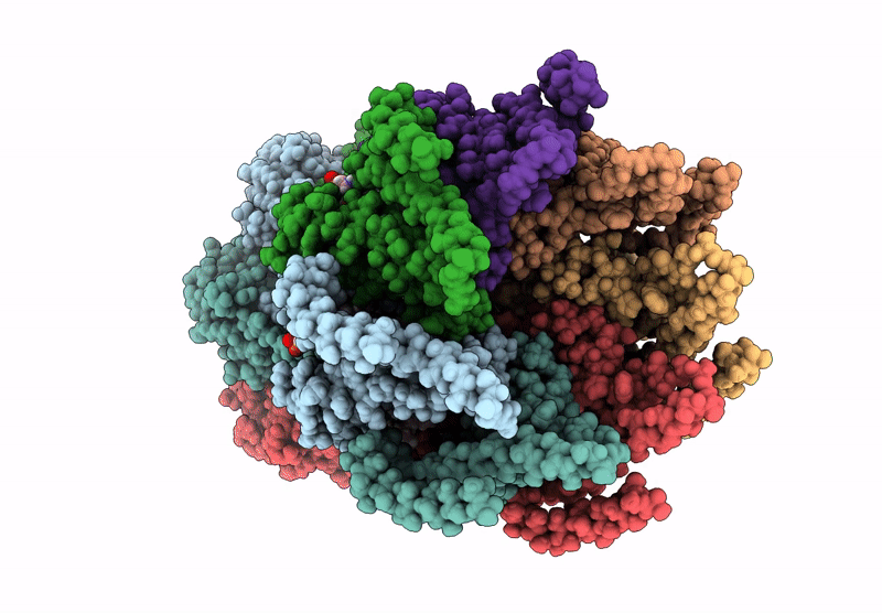 6ZYD image