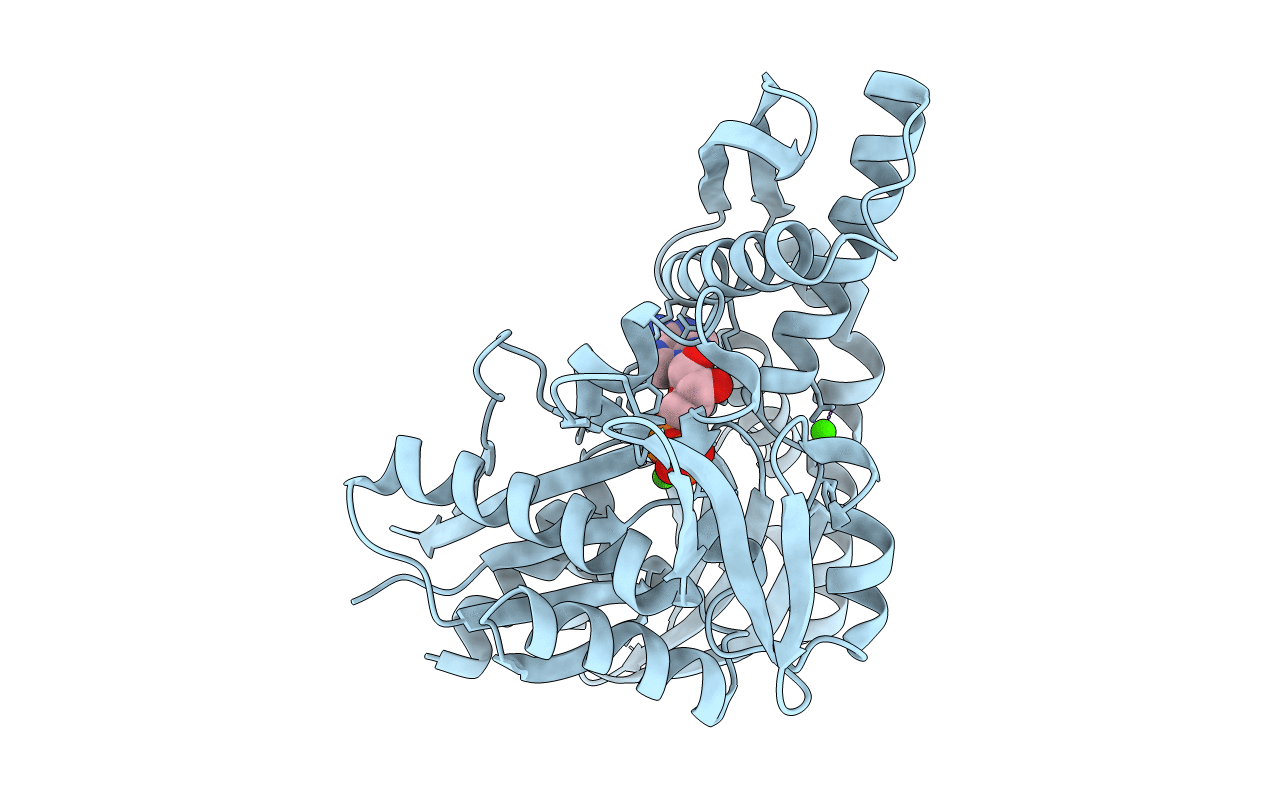 6ZYI image