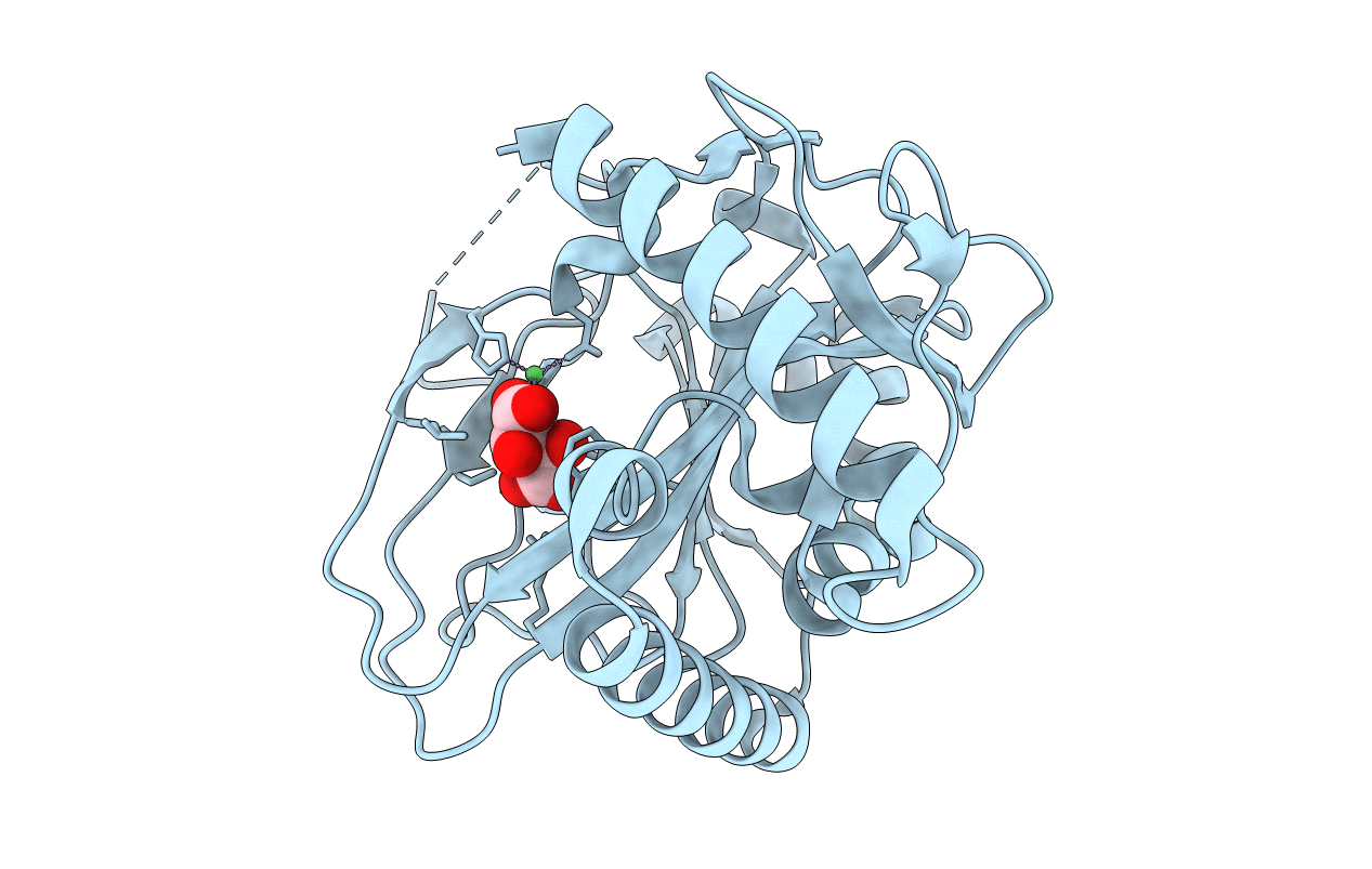 6ZYK image