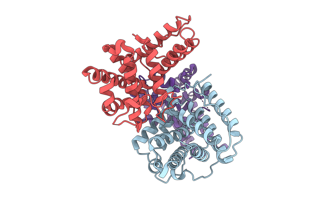 6ZYV image