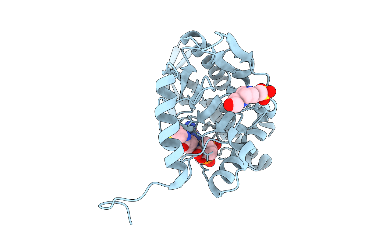 6ZZJ image