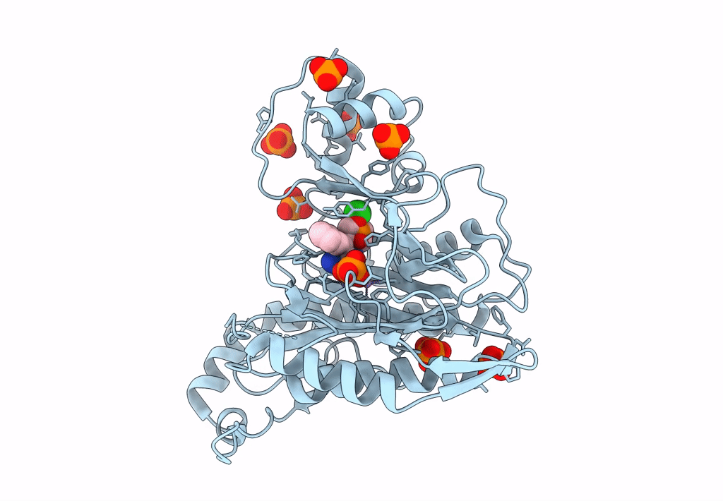 7A12 image