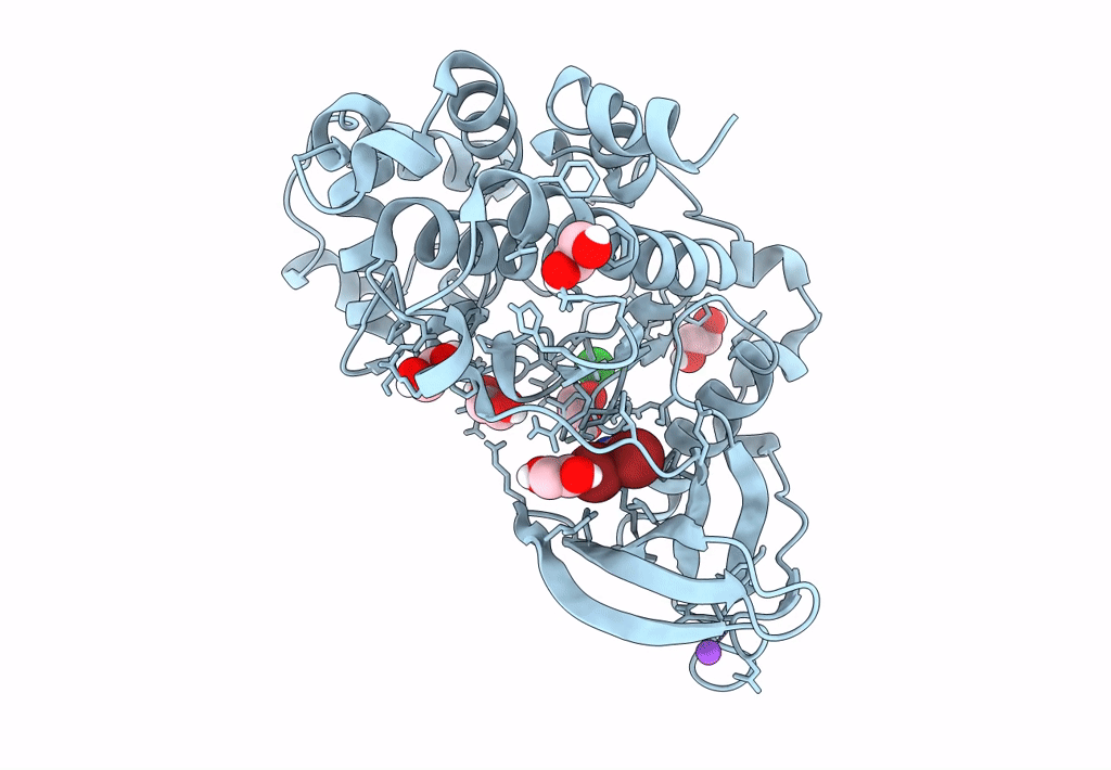 7A1B image