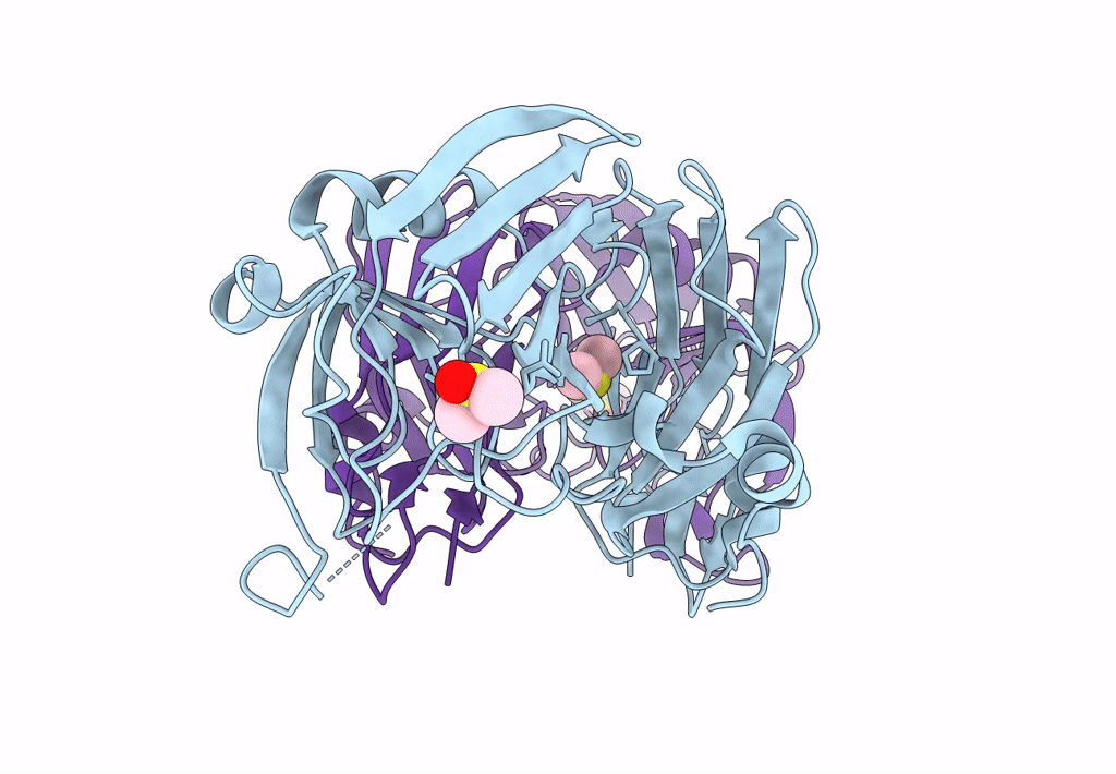 7A1C image