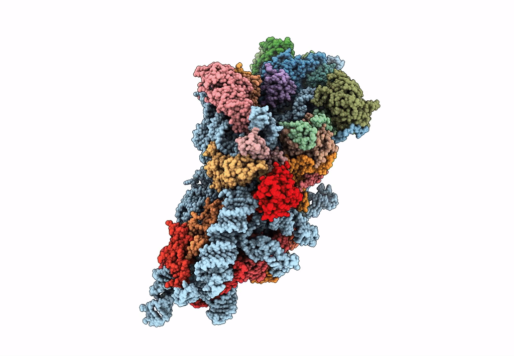 7a1g image