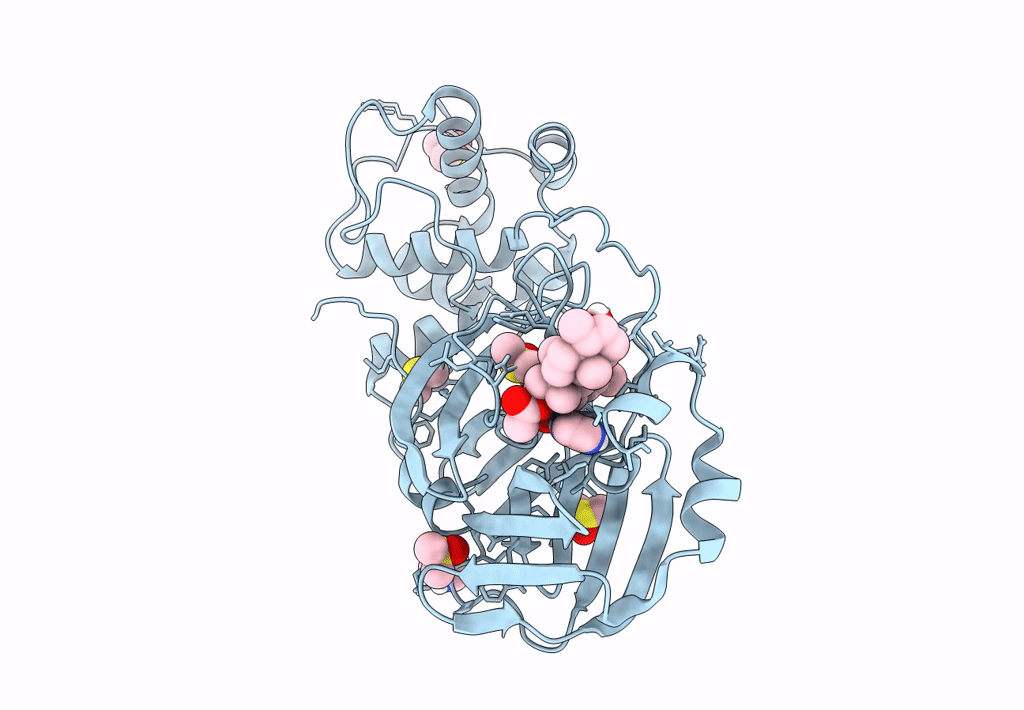 7A1U image