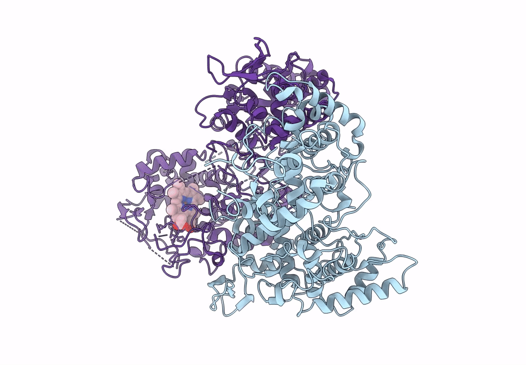 7A2I image