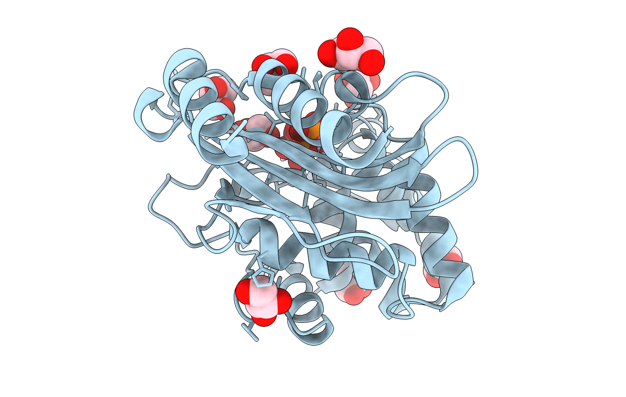 7A5T image