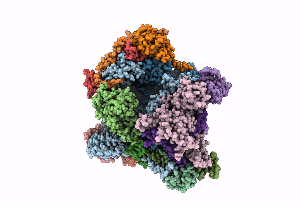 7A6H image