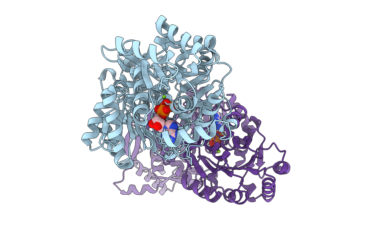 7A8R image