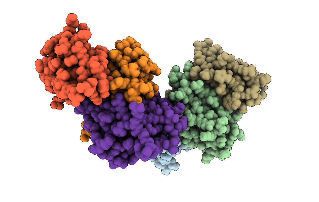 7A8W image