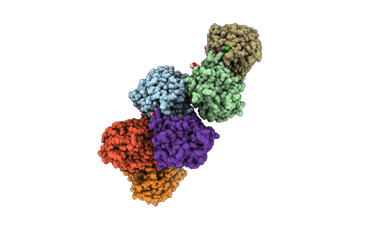 7AAS image