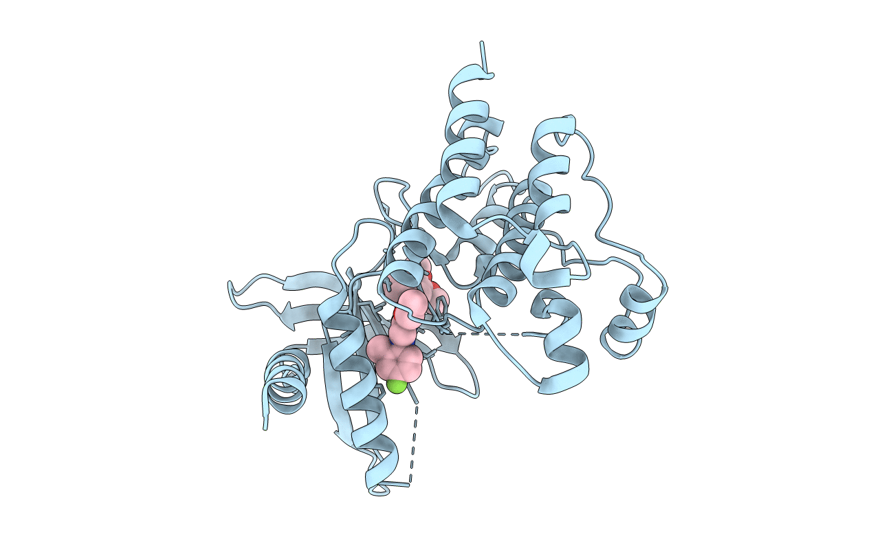 7AAX image